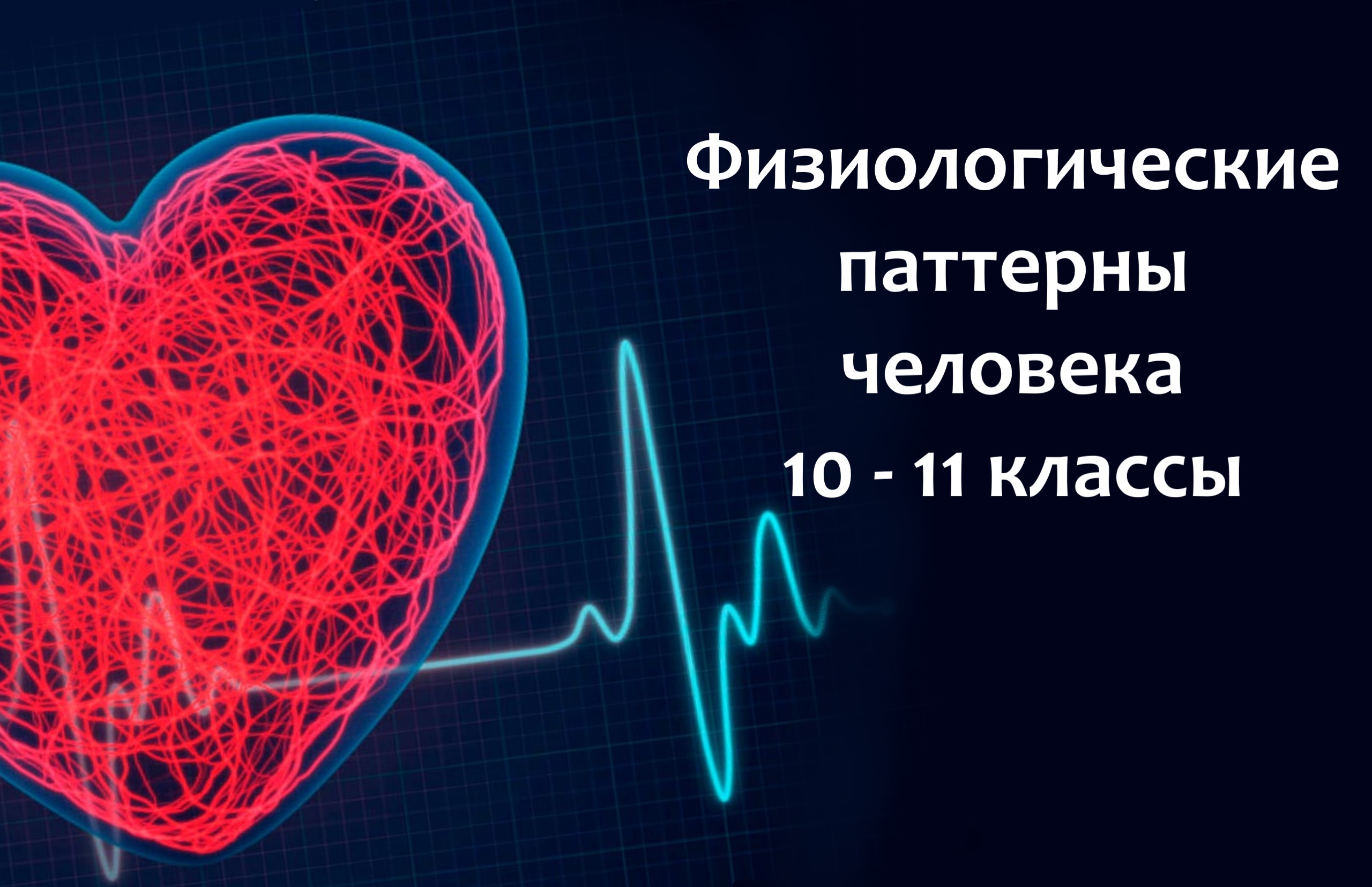 Физиологические паттерны человека Физиологические паттерны человека
